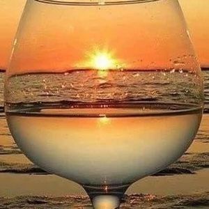 Meet your Posher, Gloria